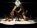 slim-wood-aquarium-wurzeln