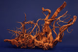 aquarium-wurzel-redwood-aquascaping-rh2509