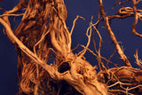 Redwood, Aquarium Wurzel, Größe "L", Exklusiv, RH2509