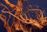 Redwood, Aquarium Wurzel, Größe "L", Exklusiv, RH2509