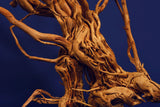 Redwood, Aquarium Wurzel, Größe "L", Exklusiv, RH2514