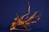 Redwood, Aquarium Wurzel, Größe "L", Exklusiv, RH2514