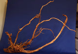 Redwood, Aquarium Wurzel, Größe "XL", Exklusiv, RH2636