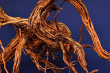 Redwood, Aquarium Wurzel, Größe "XL", Exklusiv, RH2639