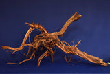 Redwood, Aquarium Wurzel, Größe "XL", Exklusiv, RH2639