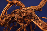 Redwood, Aquarium Wurzel, Größe "XL", Exklusiv, RH2639