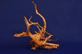 Redwood, Aquarium Wurzel, Größe "L", Premium, RH2658