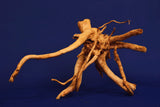 Redwood, Aquarium Wurzel, Größe "L", Premium, RH2658
