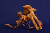 Redwood, Aquarium Wurzel, Größe "L", Premium, RH2658