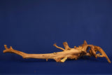 Redwood, Aquarium Wurzel, Größe "L", Premium, RH2672