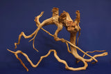 Redwood, Aquarium Wurzel, Größe "L", Exklusiv, RH2675