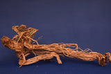 Redwood, Aquarium Wurzel, Größe "XL", Exklusiv, RH2685