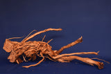 Redwood, Aquarium Wurzel, Größe "L", Exklusiv, RH2686