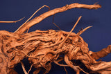Redwood, Aquarium Wurzel, Größe "L", Exklusiv, RH2686