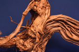 Redwood, Aquarium Wurzel, Größe "L", Exklusiv, RH2687