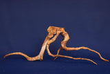 Redwood, Aquarium Wurzel, Größe "L", Premium, RH2690