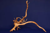 Redwood, Aquarium Wurzel, Größe "L", Premium, RH2705
