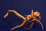 Redwood, Aquarium Wurzel, Größe "L", Premium, RH2707