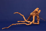 Redwood, Aquarium Wurzel, Größe "L", Premium, RH2708