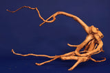 Redwood, Aquarium Wurzel, Größe "L", Premium, RH2709