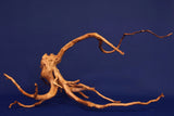 Redwood, Aquarium Wurzel, Größe "L", Premium, RH2709