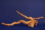 Redwood, Aquarium Wurzel, Größe "L", Premium, RH2711
