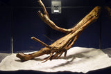 aquarium-wurzel-talawa-teawood-te799