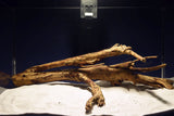 Talawa Pionierholz, Aquarium Wurzel, Größe "M", Premium - TE799