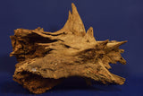 Corbo Wood / Aquarium Wurzel C50