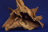 Corbo Wood / Aquarium Wurzel C61