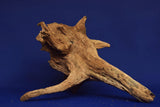 Corbo Wood / Aquarium Wurzel C61