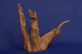 Corbo Wood / Aquarium Wurzel C75
