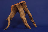 Corbo Wood / Aquarium Wurzel C75