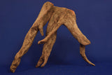 Corbo Wood / Aquarium Wurzel C75