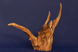 Corbo Wood / Aquarium Wurzel C79