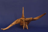 Corbo Wood / Aquarium Wurzel C79
