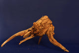 Corbo Wood / Aquarium Wurzel C79