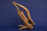 Corbo Wood / Aquarium Wurzel C87