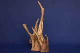 Corbo Wood / Aquarium Wurzel C89