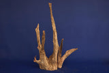 Corbo Wood / Aquarium Wurzel C89
