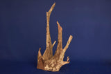 Corbo Wood / Aquarium Wurzel C89