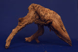 Corbo Wood / Aquarium Wurzel C90