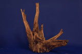 Corbo Wood / Aquarium Wurzel C91