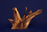 corbo-wood-aquarium-wurzel-kaufen-92