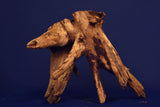 Corbo Wood / Aquarium Wurzel C92