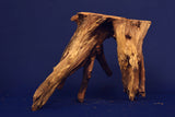 Corbo Wood / Aquarium Wurzel C92