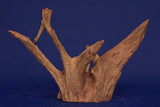 Corbo Wood / Aquarium Wurzel C94