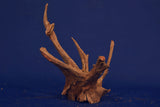 Corbo Wood / Aquarium Wurzel C97