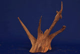 Corbo Wood / Aquarium Wurzel C97