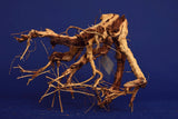 Redwood Etosha Tree, Aquarium Wurzel, Nano, Exklusiv, ET37